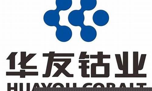 玉林华友钴业公司简介资料(浙江华友钴业股份有限公司玉林)_https://www.wanyuyiyao.com_上交所_第1张