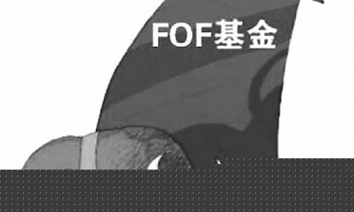 期货基金产品(期货基金产品介绍)_https://www.wanyuyiyao.com_创业板_第1张