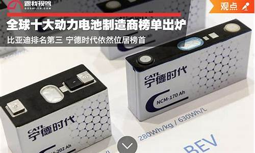 世界十大电池制造商(世界电池企业排名)_https://www.wanyuyiyao.com_科创板_第1张