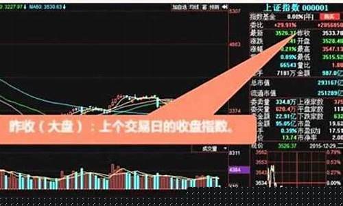 怎么炒股票新手入门(放多少钱)_https://www.wanyuyiyao.com_深交所_第1张