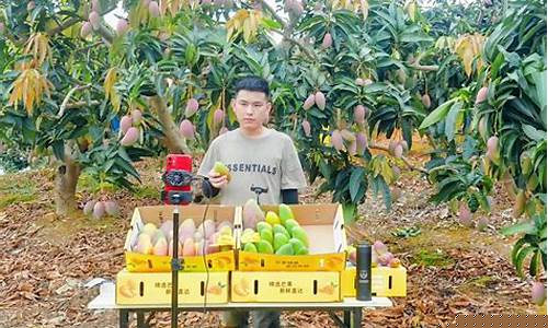 芒果直播期货(芒果期货今日行情)_https://www.wanyuyiyao.com_上交所_第1张