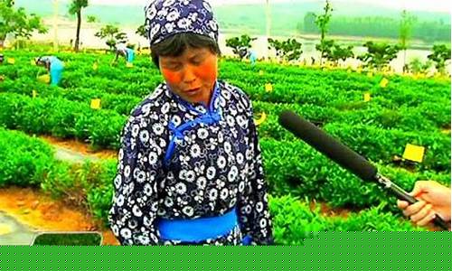 临沂财经直播间(临沂财经直播间在哪)_https://www.wanyuyiyao.com_北交所_第1张