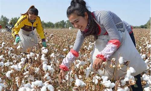 棉花期货现场直播(棉花期货行情最新)_上交所_第1张_财经网 棉花期货现场直播(棉花期货行情最新)_https://www.wanyuyiyao.com_上交所_第1张