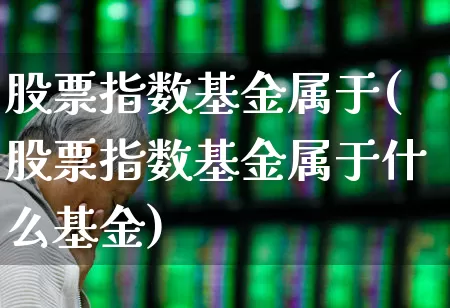 股票指数基金属于(股票指数基金属于什么基金)_https://www.wanyuyiyao.com_创业板_第1张