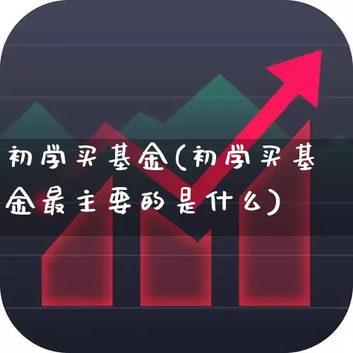 初学买基金(初学买基金最主要的是什么)_https://www.wanyuyiyao.com_科创板_第1张
