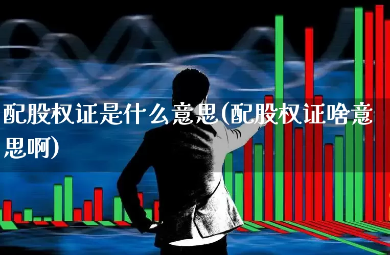 配股权证是什么意思(配股权证啥意思啊)_https://www.wanyuyiyao.com_科创板_第1张