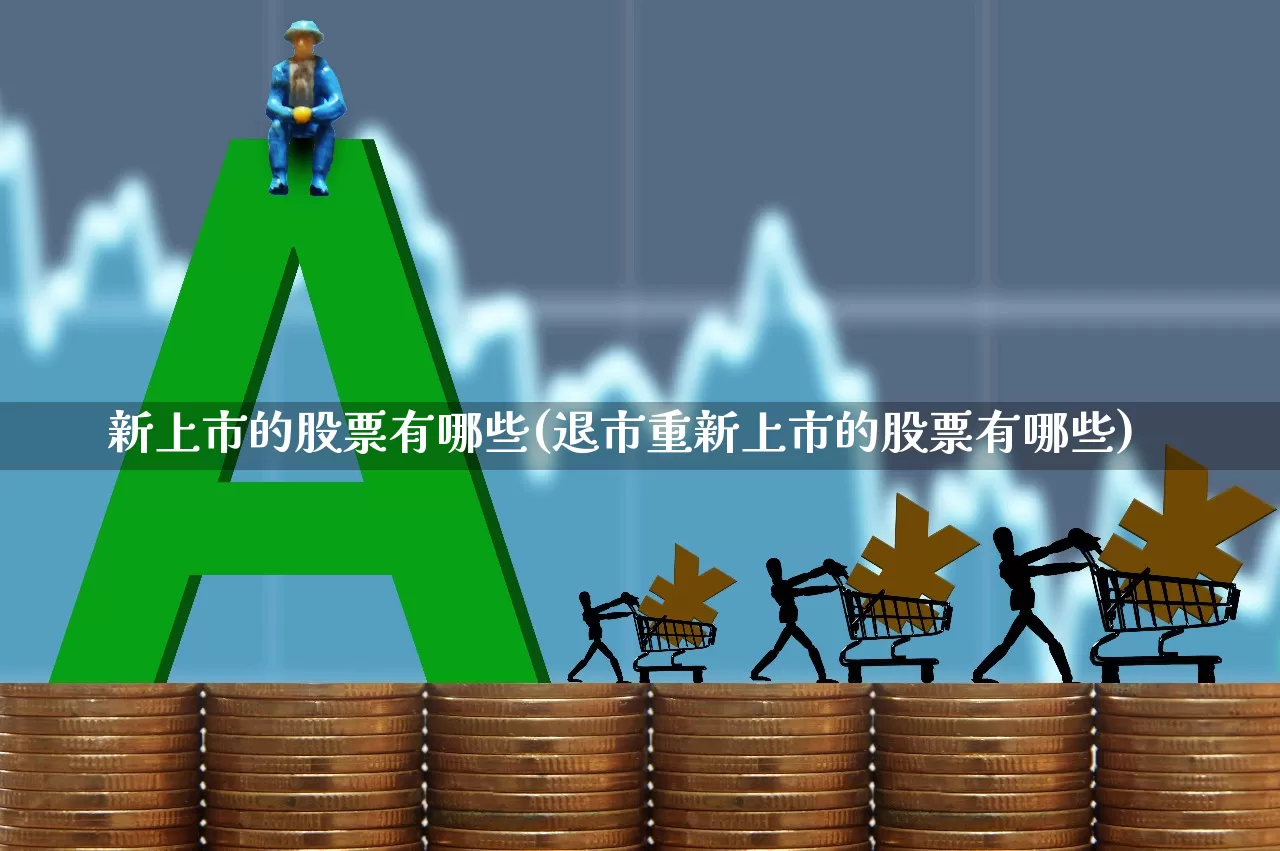 新上市的股票有哪些(退市重新上市的股票有哪些)_https://www.wanyuyiyao.com_创业板_第1张