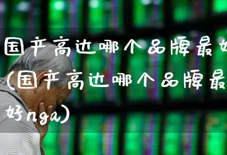 国产高达哪个品牌最好(国产高达哪个品牌最好nga)_https://www.wanyuyiyao.com_上交所_第1张