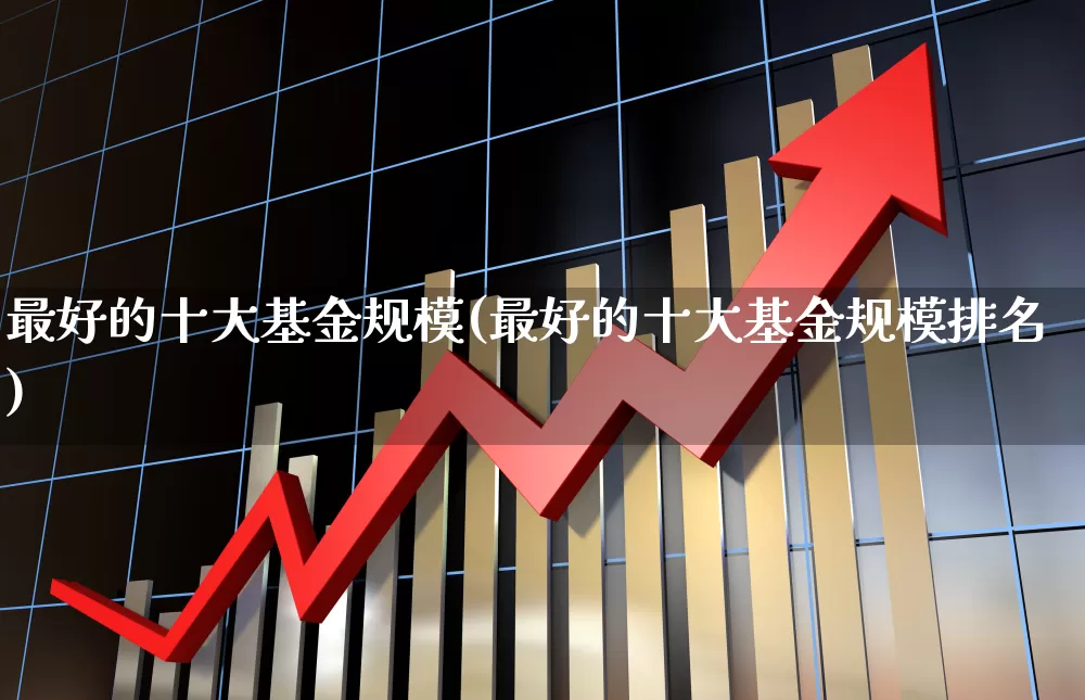 最好的十大基金规模(最好的十大基金规模排名)_https://www.wanyuyiyao.com_科创板_第1张