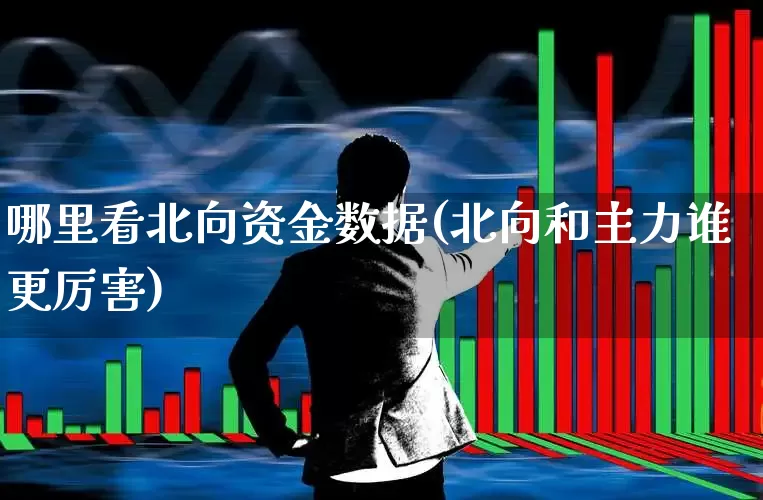 哪里看北向资金数据(北向和主力谁更厉害)_https://www.wanyuyiyao.com_科创板_第1张
