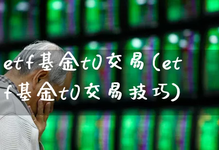 etf基金t0交易(etf基金t0交易技巧)_https://www.wanyuyiyao.com_创业板_第1张