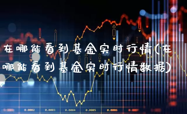 在哪能看到基金实时行情(在哪能看到基金实时行情数据)_https://www.wanyuyiyao.com_科创板_第1张