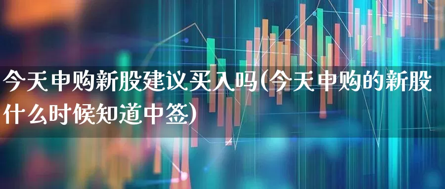 今天申购新股建议买入吗(今天申购的新股什么时候知道中签)_https://www.wanyuyiyao.com_科创板_第1张