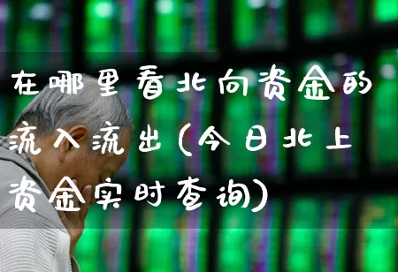 在哪里看北向资金的流入流出(今日北上资金实时查询)_https://www.wanyuyiyao.com_创业板_第1张