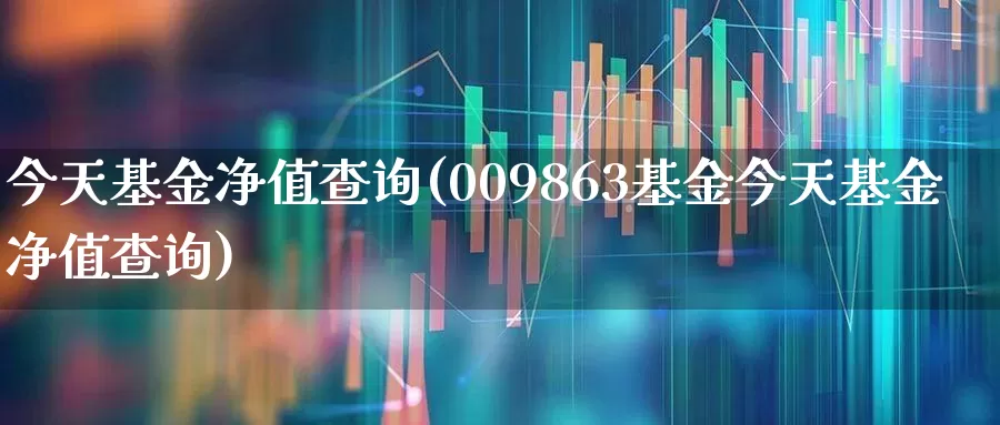 今天基金净值查询(009863基金今天基金净值查询)_https://www.wanyuyiyao.com_深交所_第1张