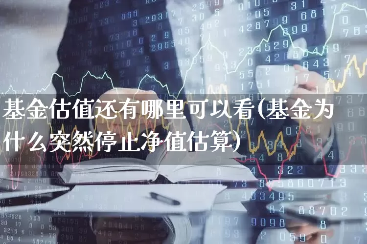 基金估值还有哪里可以看(基金为什么突然停止净值估算)_https://www.wanyuyiyao.com_创业板_第1张