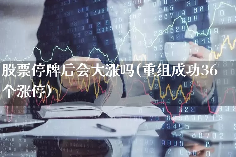 股票停牌后会大涨吗(重组成功36个涨停)_https://www.wanyuyiyao.com_北交所_第1张