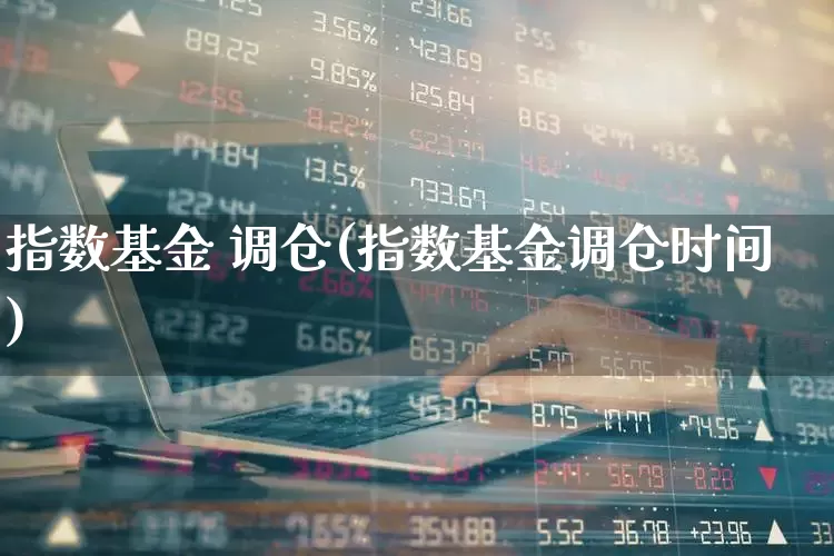指数基金 调仓(指数基金调仓时间)_https://www.wanyuyiyao.com_创业板_第1张