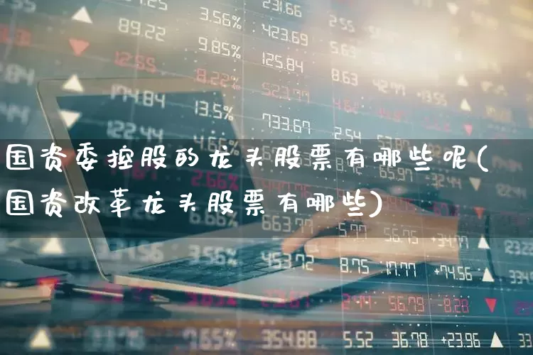 国资委控股的龙头股票有哪些呢(国资改革龙头股票有哪些)_https://www.wanyuyiyao.com_创业板_第1张
