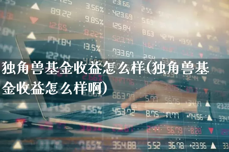 独角兽基金收益怎么样(独角兽基金收益怎么样啊)_https://www.wanyuyiyao.com_科创板_第1张