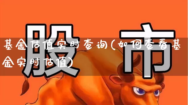 基金估值实时查询(如何查看基金实时估值)_https://www.wanyuyiyao.com_北交所_第1张