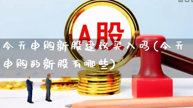 今天申购新股建议买入吗(今天申购的新股有哪些)_https://www.wanyuyiyao.com_创业板_第1张