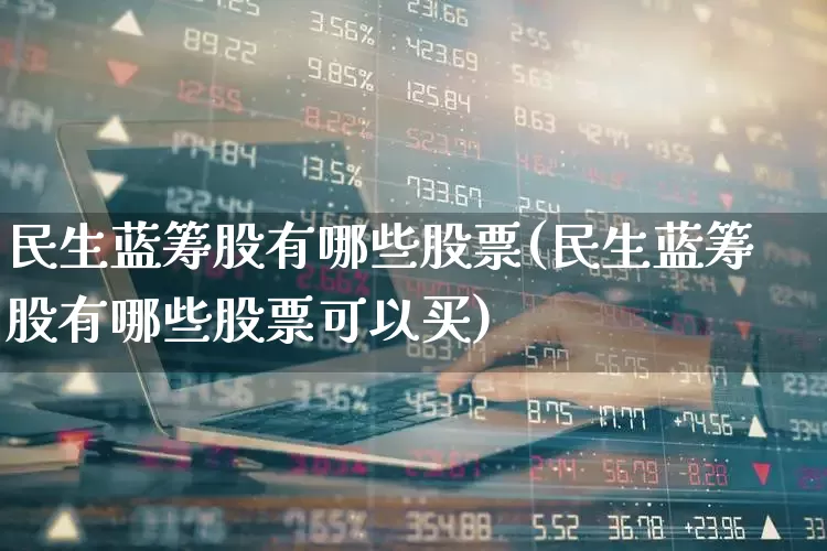 民生蓝筹股有哪些股票(民生蓝筹股有哪些股票可以买)_https://www.wanyuyiyao.com_北交所_第1张
