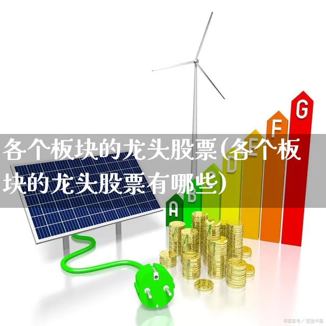 各个板块的龙头股票(各个板块的龙头股票有哪些)_https://www.wanyuyiyao.com_上交所_第1张