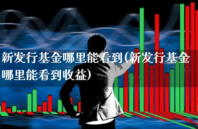 新发行基金哪里能看到(新发行基金哪里能看到收益)_https://www.wanyuyiyao.com_上交所_第1张