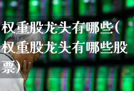 权重股龙头有哪些(权重股龙头有哪些股票)_https://www.wanyuyiyao.com_科创板_第1张