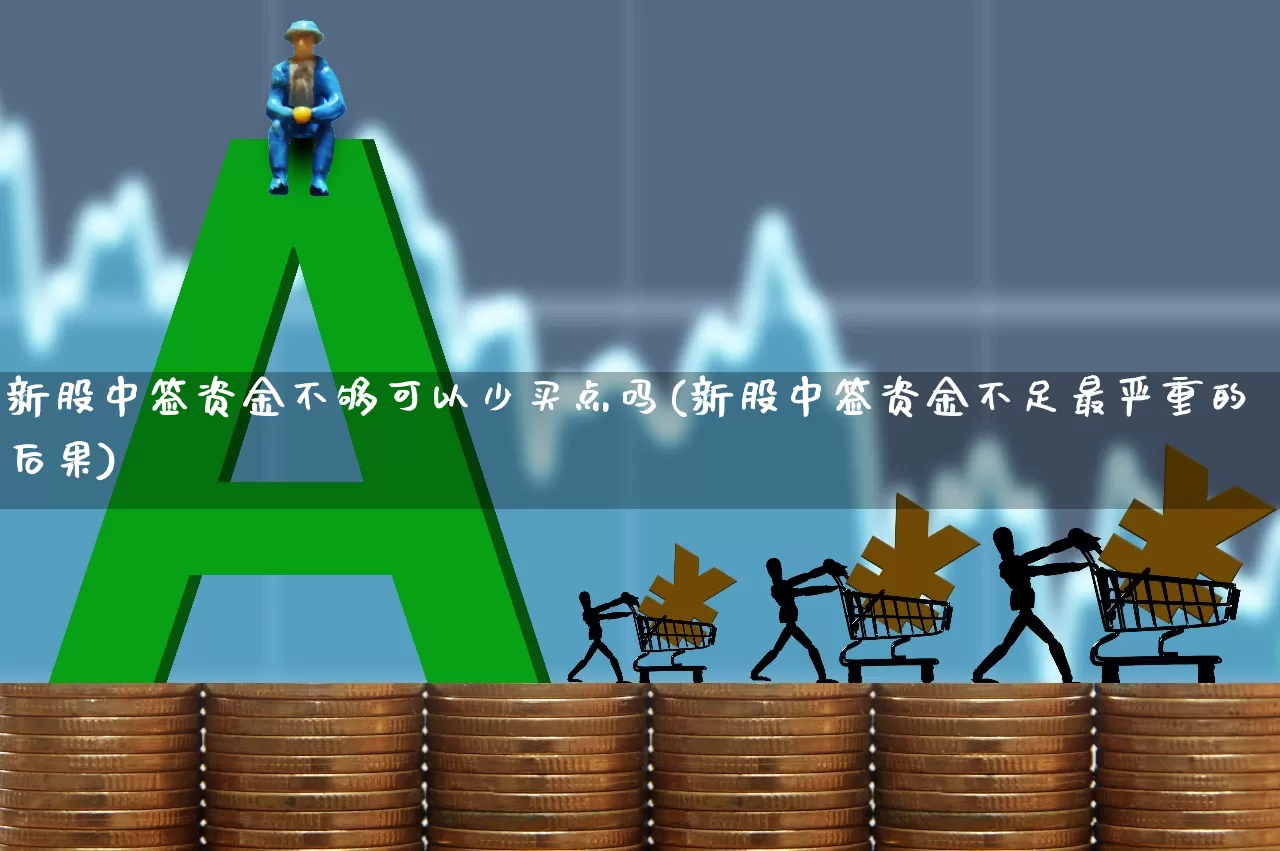 新股中签资金不够可以少买点吗(新股中签资金不足最严重的后果)_https://www.wanyuyiyao.com_创业板_第1张