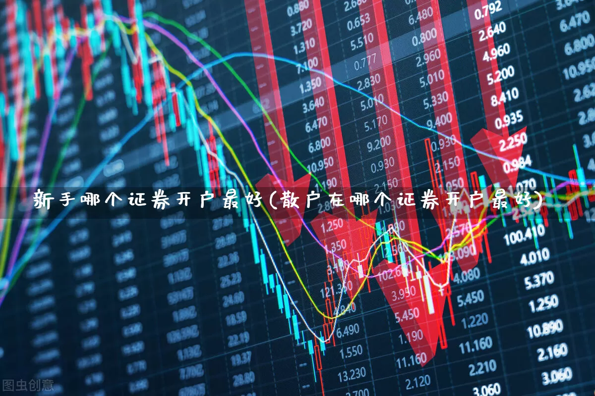 新手哪个证券开户最好(散户在哪个证券开户最好)_https://www.wanyuyiyao.com_北交所_第1张