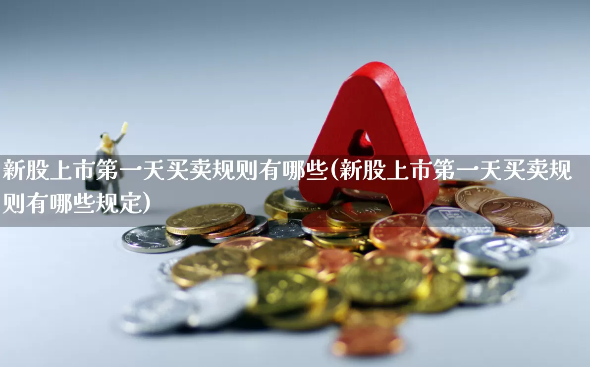 新股上市第一天买卖规则有哪些(新股上市第一天买卖规则有哪些规定)_https://www.wanyuyiyao.com_创业板_第1张