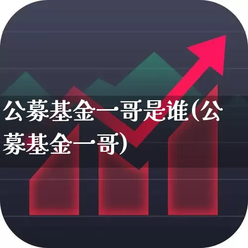 公募基金一哥是谁(公募基金一哥)_https://www.wanyuyiyao.com_创业板_第1张