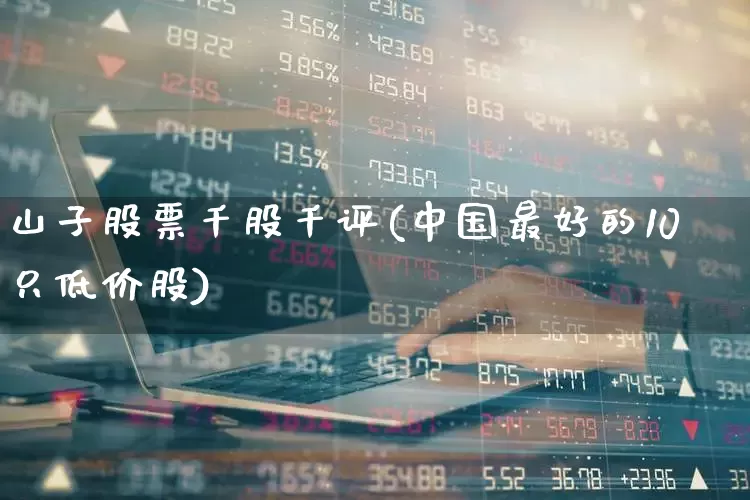 山子股票千股千评(中国最好的10只低价股)_https://www.wanyuyiyao.com_北交所_第1张