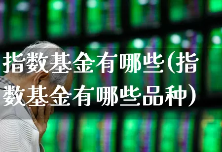 指数基金有哪些(指数基金有哪些品种)_https://www.wanyuyiyao.com_科创板_第1张