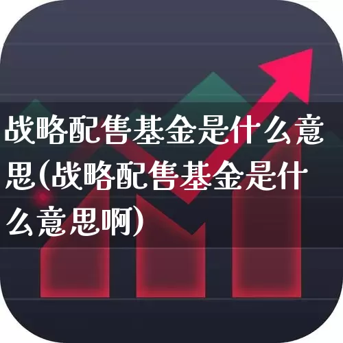 战略配售基金是什么意思(战略配售基金是什么意思啊)_https://www.wanyuyiyao.com_科创板_第1张