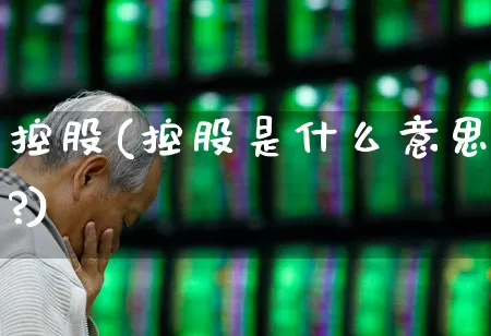 控股(控股是什么意思?)_https://www.wanyuyiyao.com_创业板_第1张