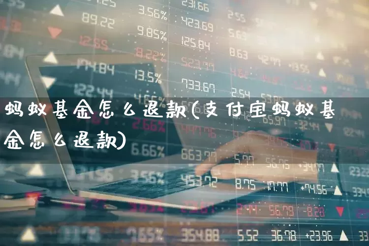 蚂蚁基金怎么退款(支付宝蚂蚁基金怎么退款)_https://www.wanyuyiyao.com_深交所_第1张