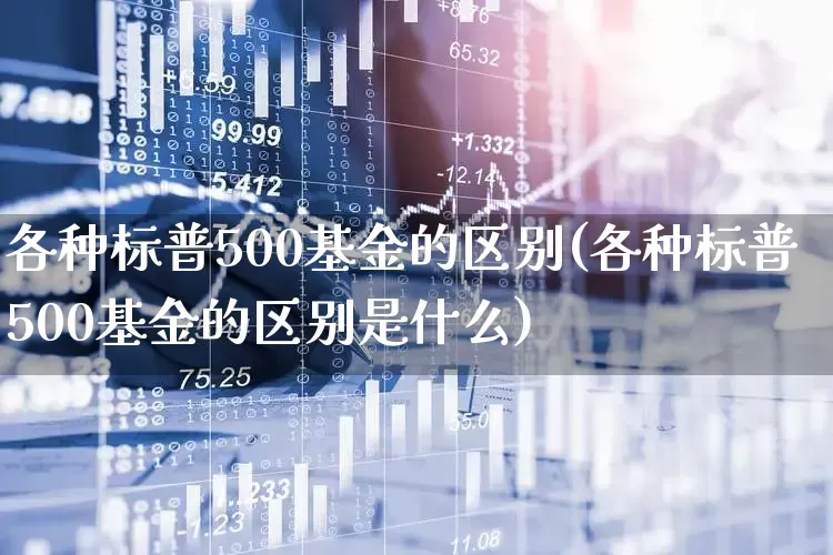 各种标普500基金的区别(各种标普500基金的区别是什么)_https://www.wanyuyiyao.com_深交所_第1张