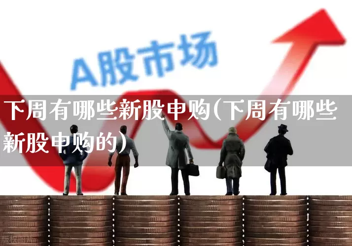 下周有哪些新股申购(下周有哪些新股申购的)_https://www.wanyuyiyao.com_科创板_第1张