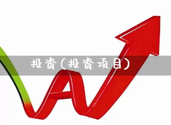 投资(投资项目)_https://www.wanyuyiyao.com_北交所_第1张