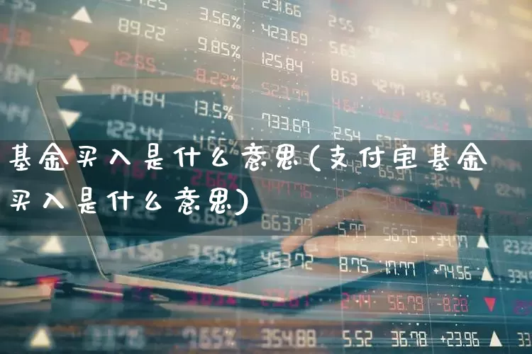 基金买入是什么意思(支付宝基金买入是什么意思)_https://www.wanyuyiyao.com_深交所_第1张