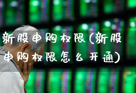 新股申购权限(新股申购权限怎么开通)_https://www.wanyuyiyao.com_深交所_第1张