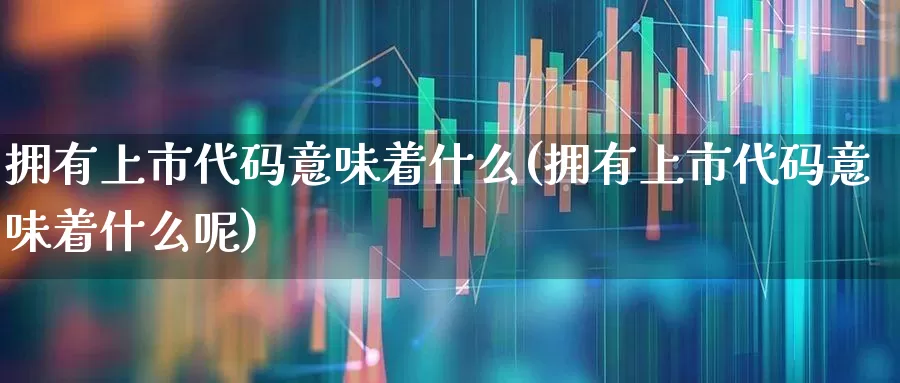 拥有上市代码意味着什么(拥有上市代码意味着什么呢)_https://www.wanyuyiyao.com_上交所_第1张