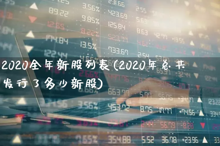 2020全年新股列表(2020年总共发行了多少新股)_https://www.wanyuyiyao.com_科创板_第1张