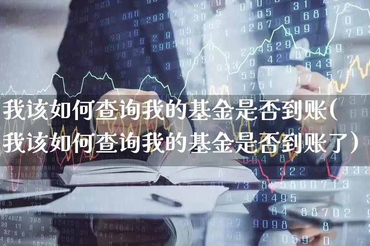 我该如何查询我的基金是否到账(我该如何查询我的基金是否到账了)_https://www.wanyuyiyao.com_上交所_第1张