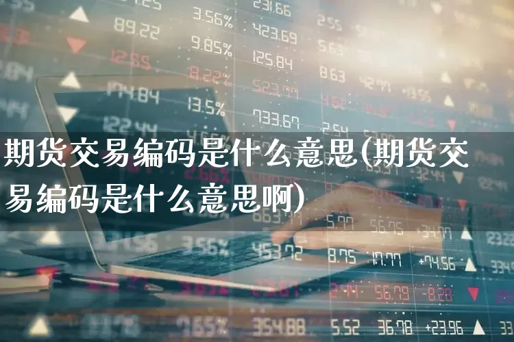 期货交易编码是什么意思(期货交易编码是什么意思啊)_https://www.wanyuyiyao.com_创业板_第1张