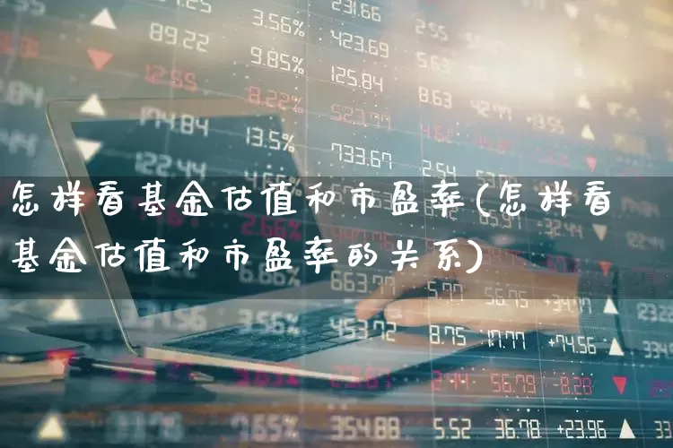 怎样看基金估值和市盈率(怎样看基金估值和市盈率的关系)_https://www.wanyuyiyao.com_上交所_第1张
