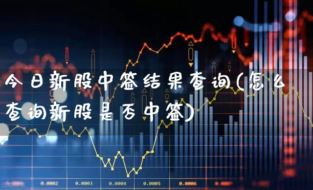 今日新股中签结果查询(怎么查询新股是否中签)_https://www.wanyuyiyao.com_创业板_第1张